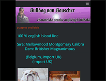 Tablet Screenshot of bulldogvonrauscher.com